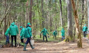 Сотрудники «Уралхима» высадили в Черняевском лесу Перми яблони, груши и кедры  