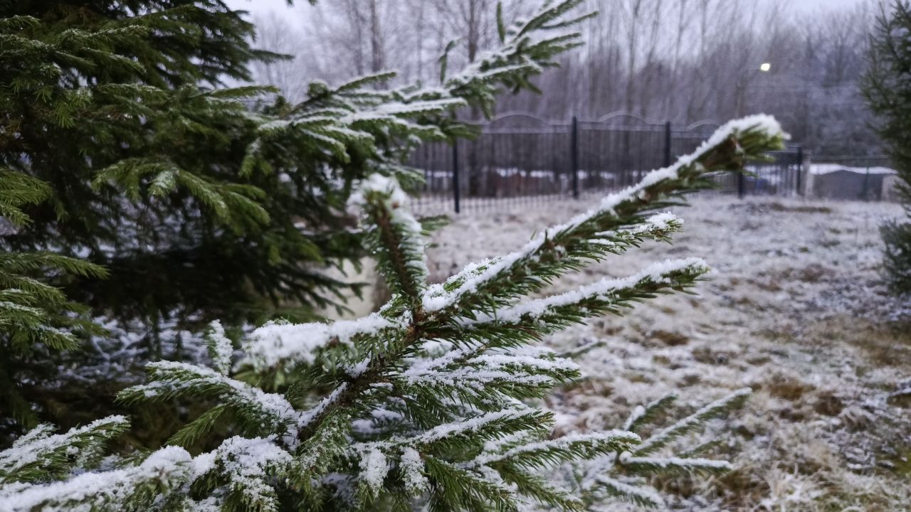 Снег, дождь и похолодание ожидаются в Прикамье на этой неделе 