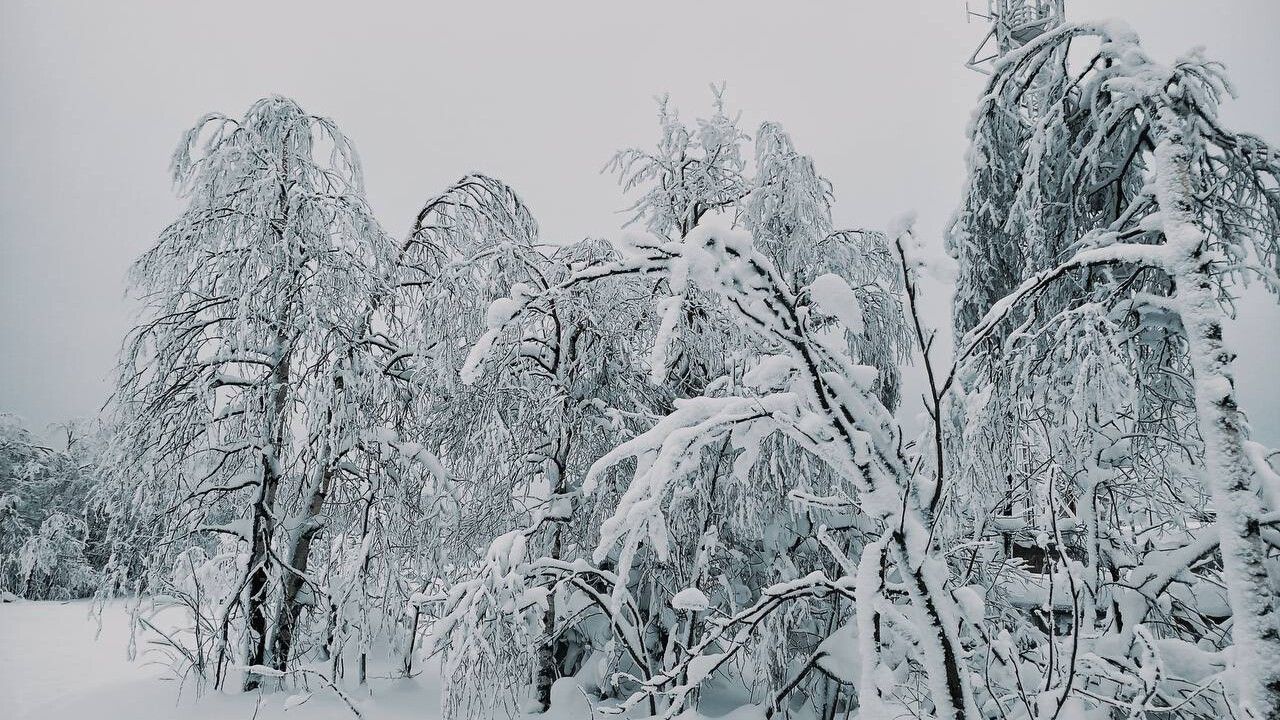 ​Выходные в Прикамье принесут мощные снегопады и кратковременное потепление