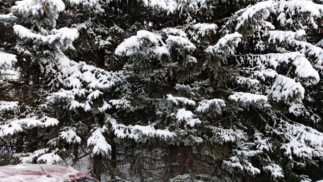 Погода в Пермском крае на этой неделе будет неустойчивой из-за столкновения арктического холода и атлантического тепла