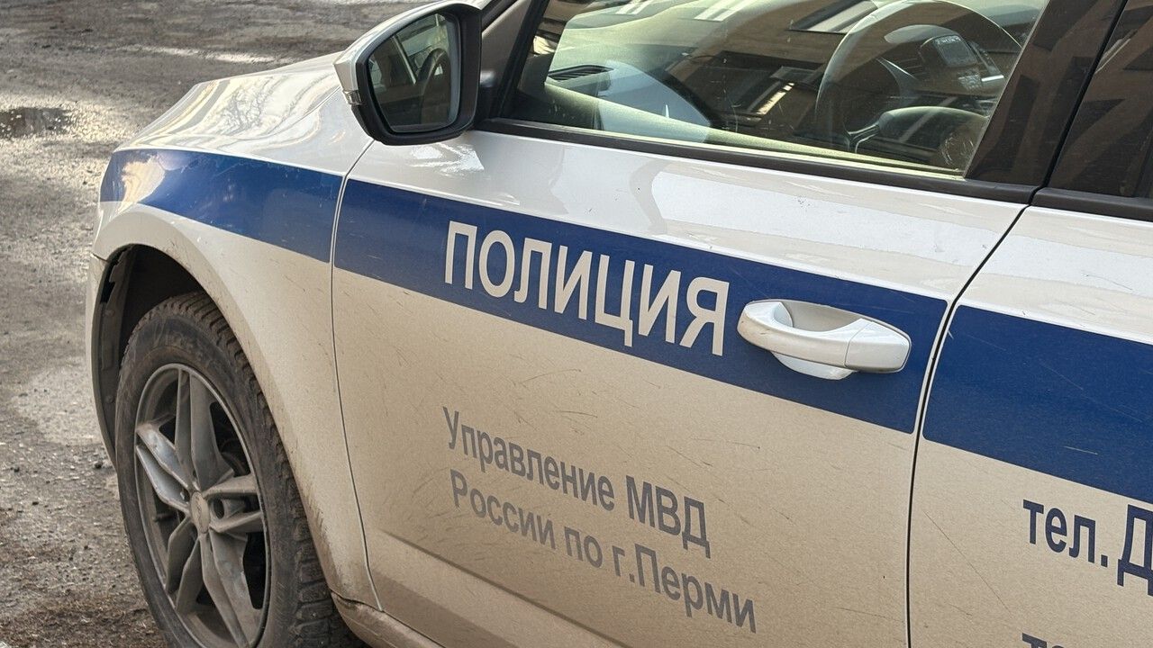 Бывший директор магазина в Кудымкаре осужден за мошенничество