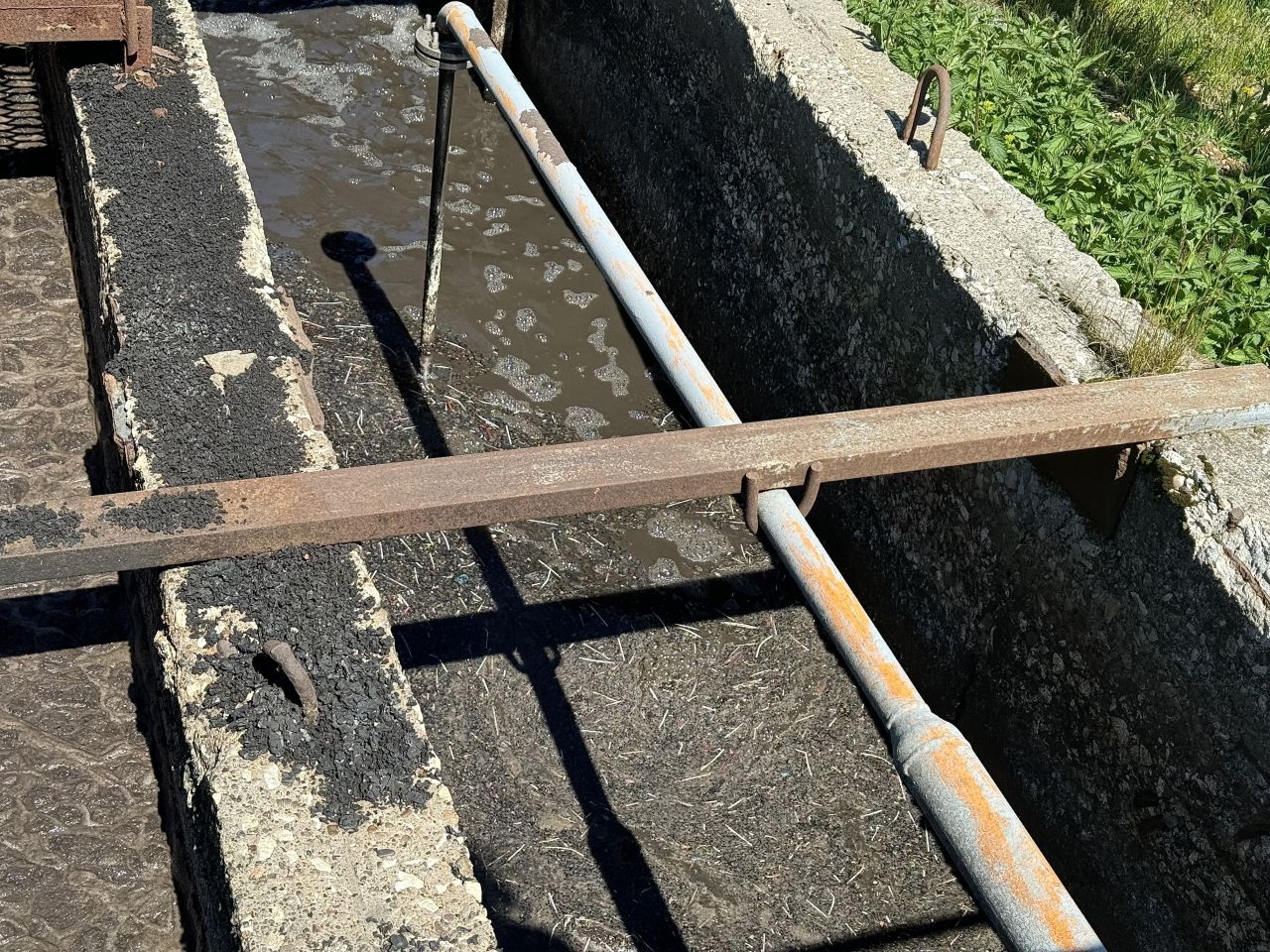 Ватные палочки скопились на поверхности воды