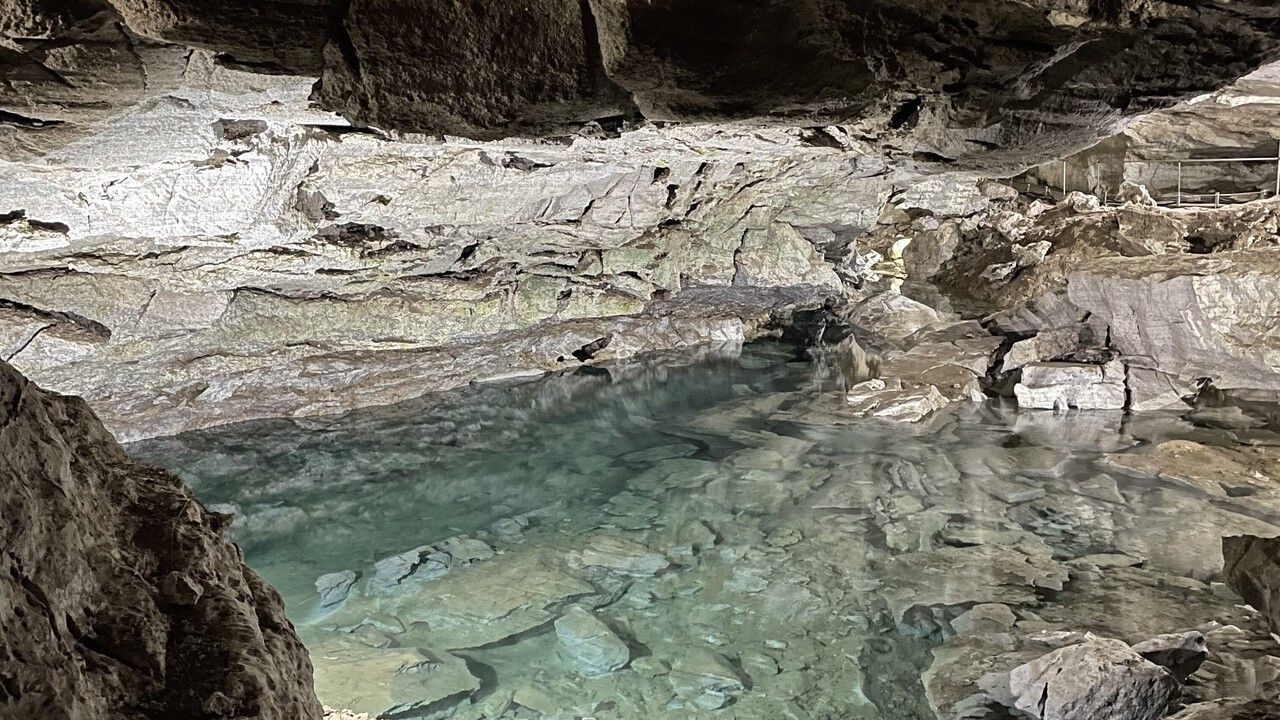 Фото: Анастасия Кузнецова