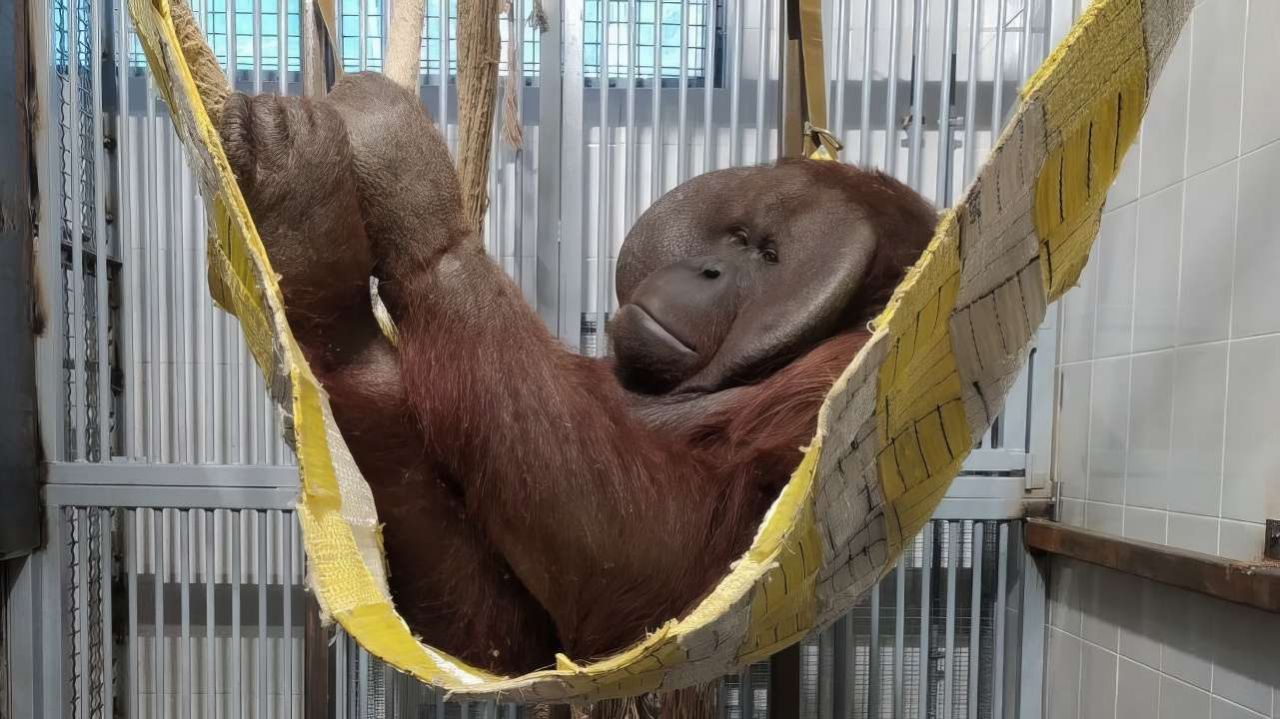 Фото: Министерство культуры Пермского края