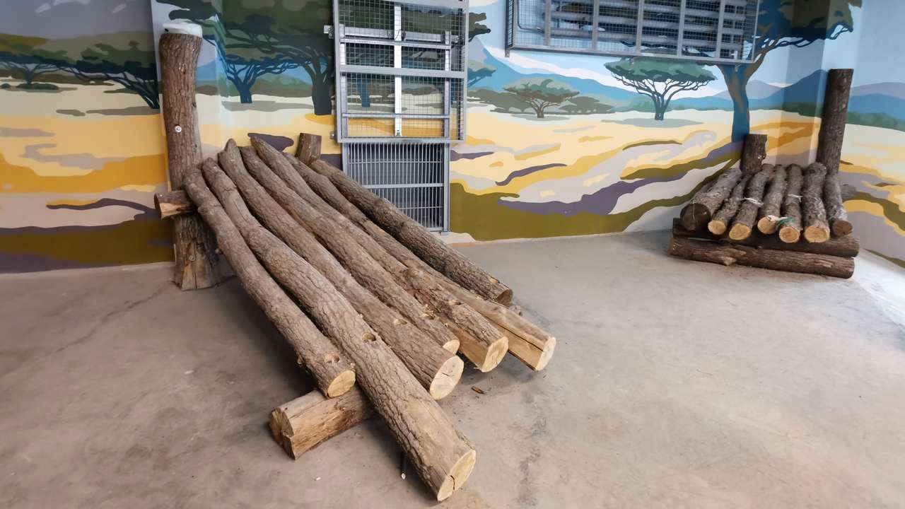 Фото: министерство строительства Пермского края