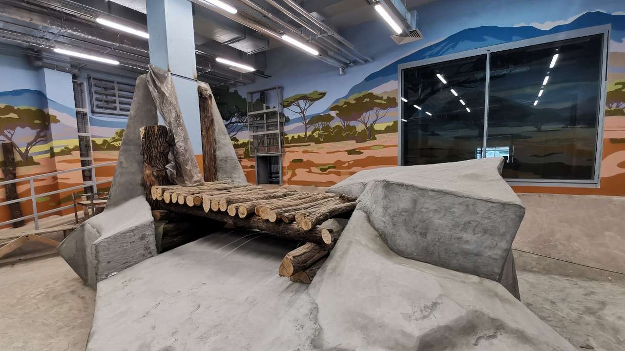 ​В новом пермском зоопарке ввели в эксплуатацию львятник