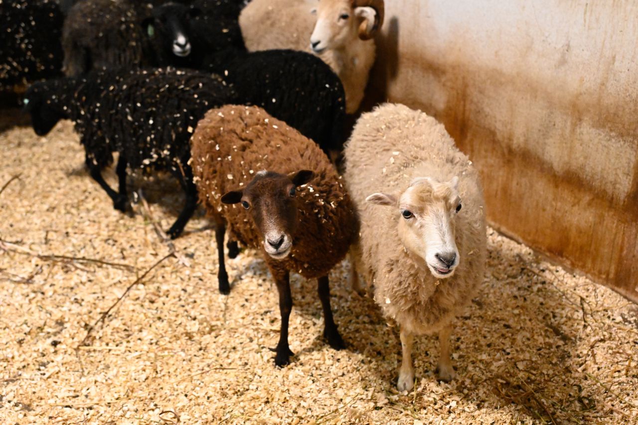 Фото: правительство Пермского края