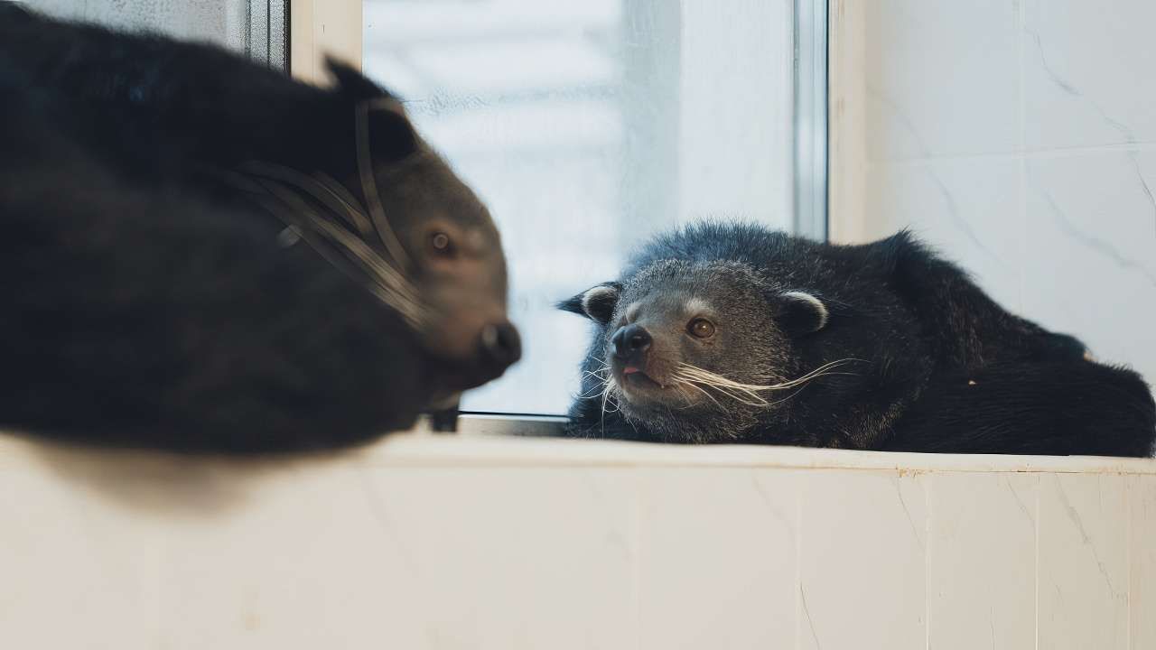 Фото: Правительство Пермского края