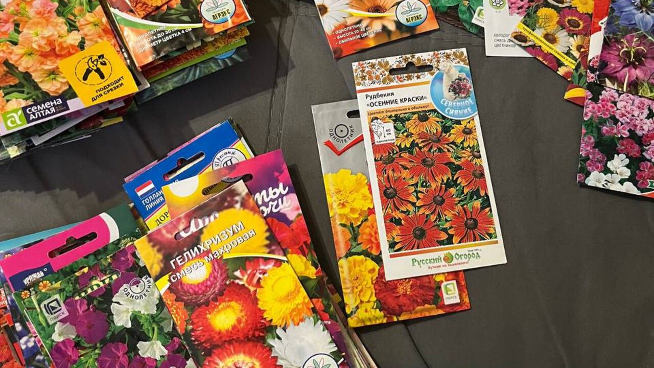 Чем заняться садоводу в огороде и дома в первый месяц весны