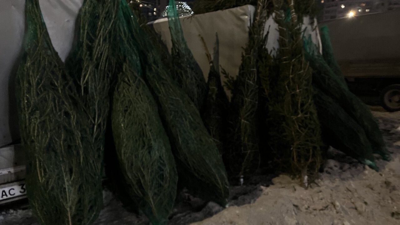 Искусственные елки в Прикамье обгоняют живые: самая дорогая — 140 тысяч