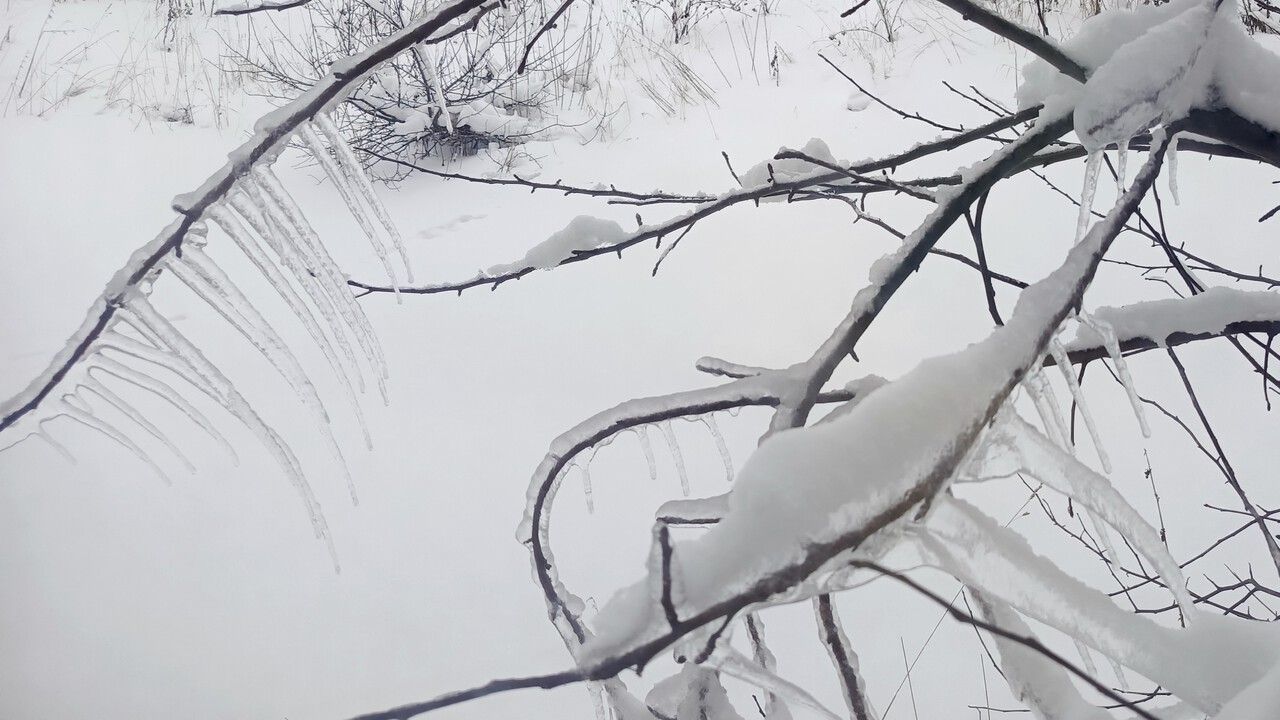 Морозы в Прикамье продлятся до понедельника