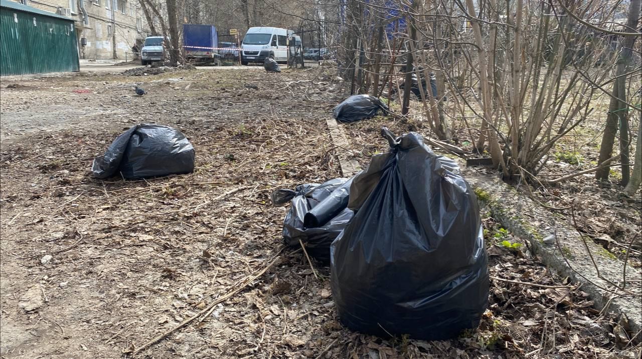 ​В Перми пройдет общегородской субботник