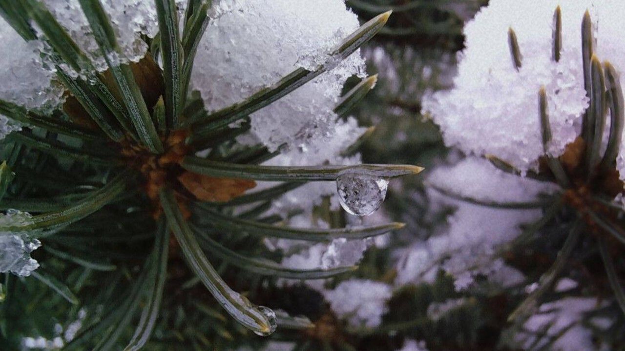 Морозы до -20 градусов ожидаются в Прикамье на этой неделе 