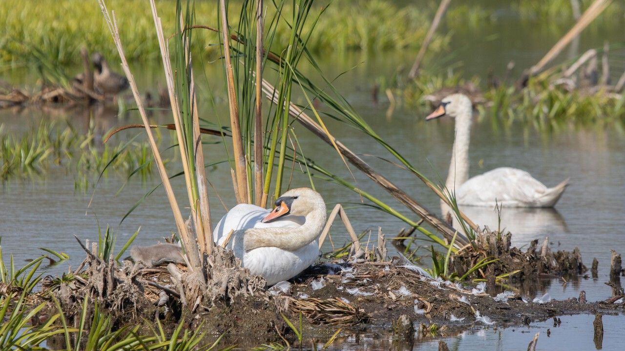 Фото: Денис Исаков