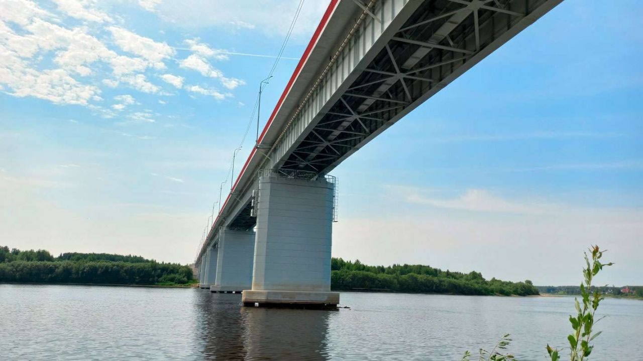 В Прикамье при ремонте моста через Вишеру погибли рыбы 