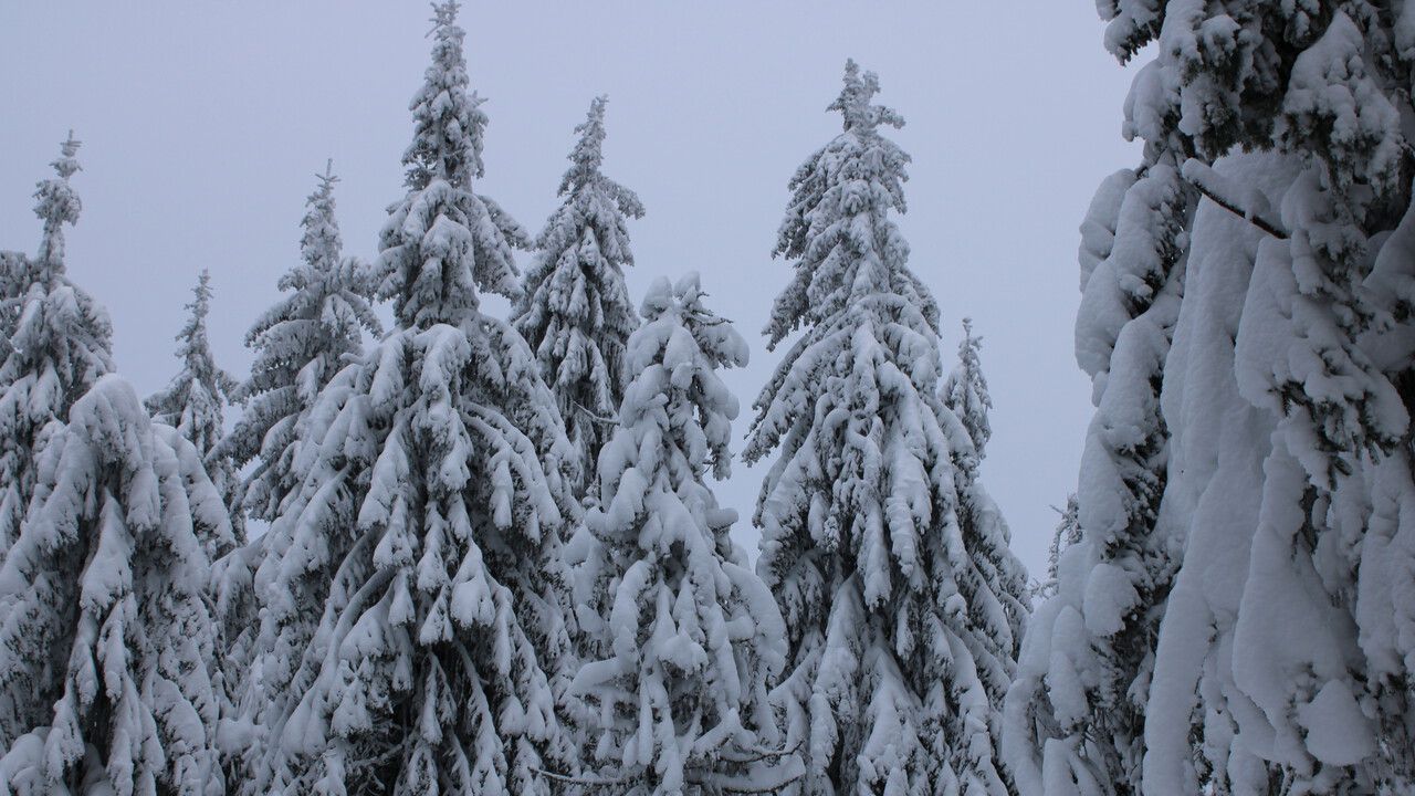 Аномальные морозы с Ямала надвигаются на Прикамье