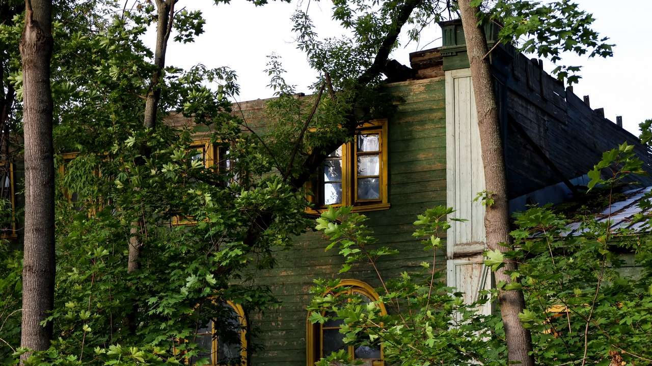 От пожарища до пожарных. Заметные события недели по версии «Звезды»