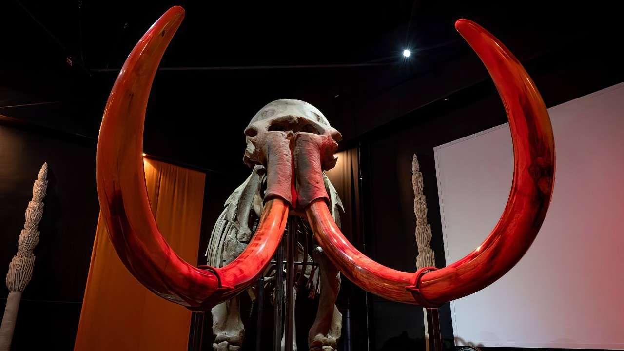 ​В Перми на заводе Шпагина откроется музей «Пермский период»