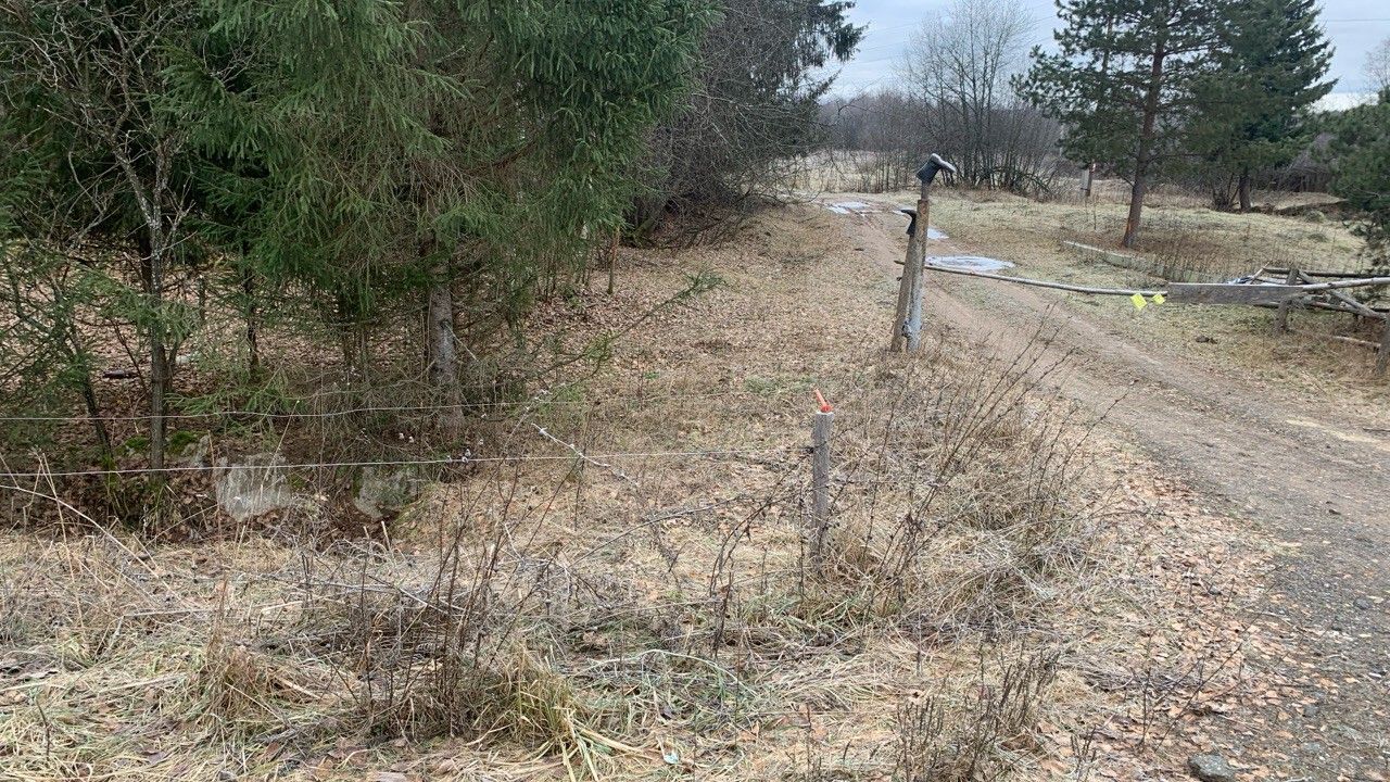 В Пермском крае владельцу фермы вынесли предупреждение за отсутствие учета животных