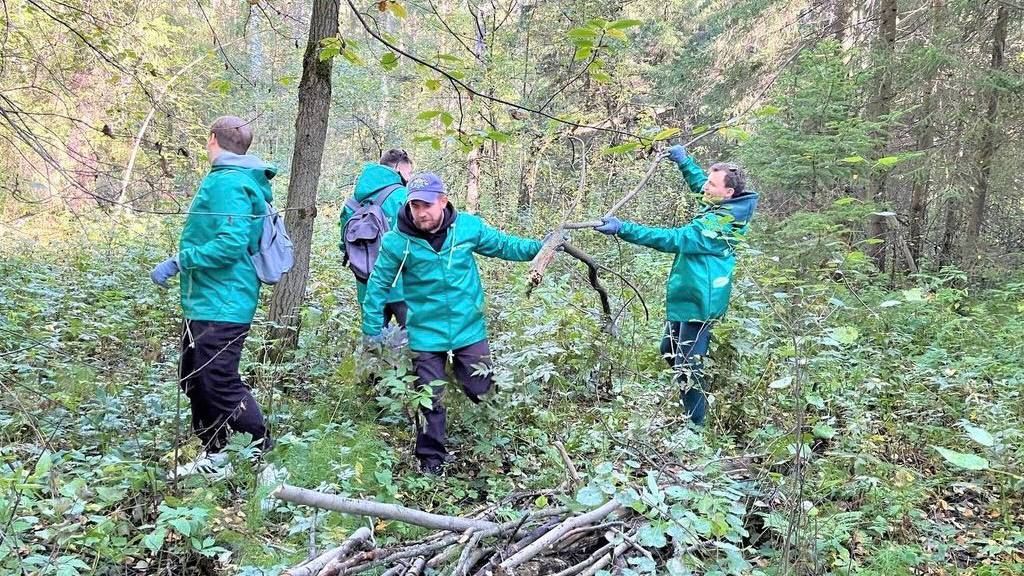 В Перми волонтеры проводят слет «Очистим Черняевский лес»