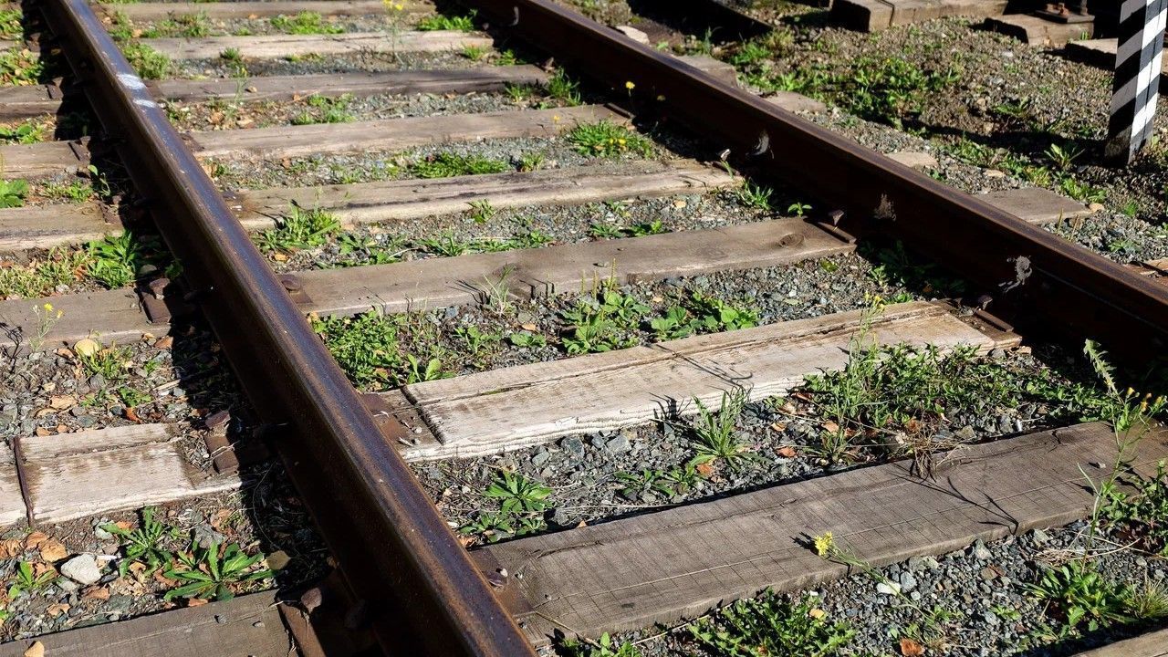 ​В Прикамье на железной дороге задержали иностранного гражданина, работавшего не по патенту