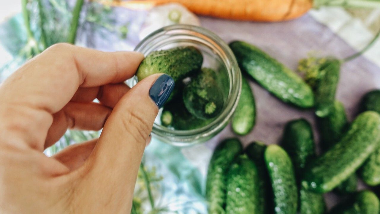 Какие работы ждут садоводов в середине и конце августа