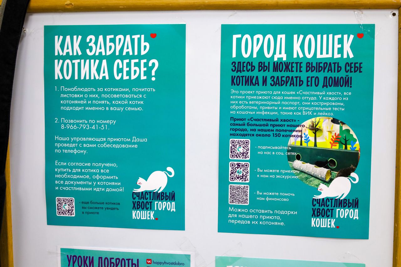 Фото: Елена Майорова