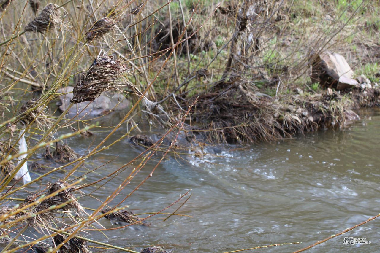 В Прикамье утонули мужчина и женщина
