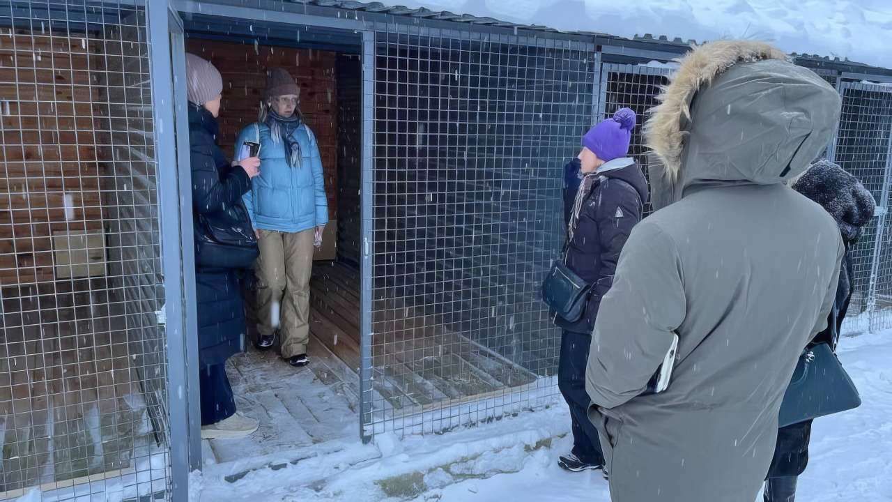 В Перми оценили готовность муниципального приюта для животных