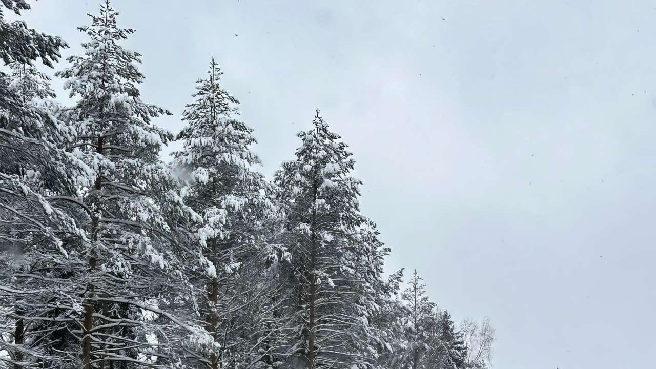 Жители пяти муниципалитетов Прикамья переживают серьезные коммунальные проблемы из-за непогоды