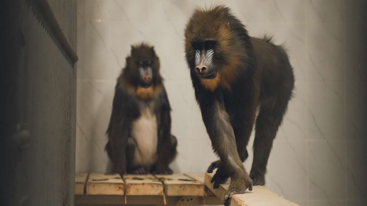 Фото: Министерство культуры Пермского края