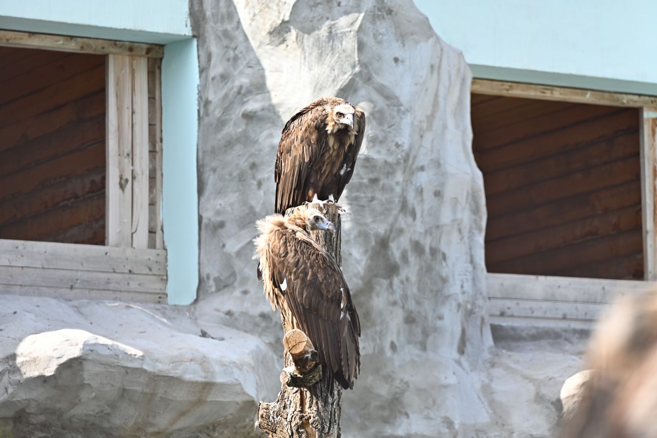 Фото: правительство Пермского края