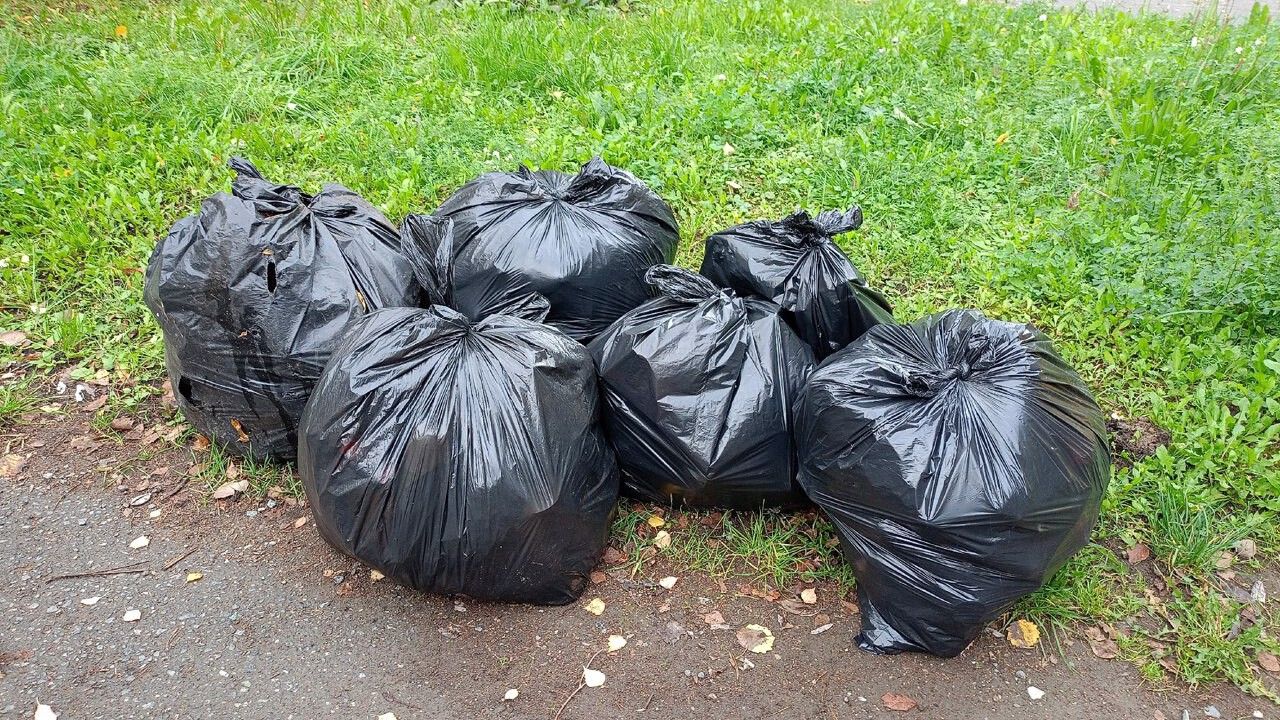 ​Во всех районах Перми проходят еженедельные субботники