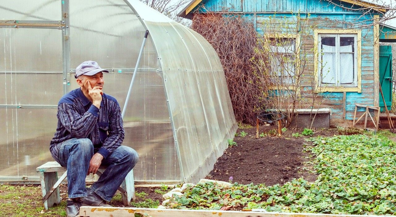 Как в Прикамье зарегистрировать хозпостройки и блокированные дома по дачной амнистии