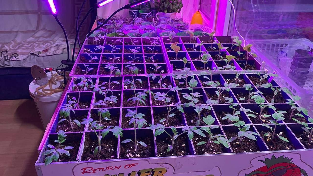 С чего начинать новый садоводческий сезон