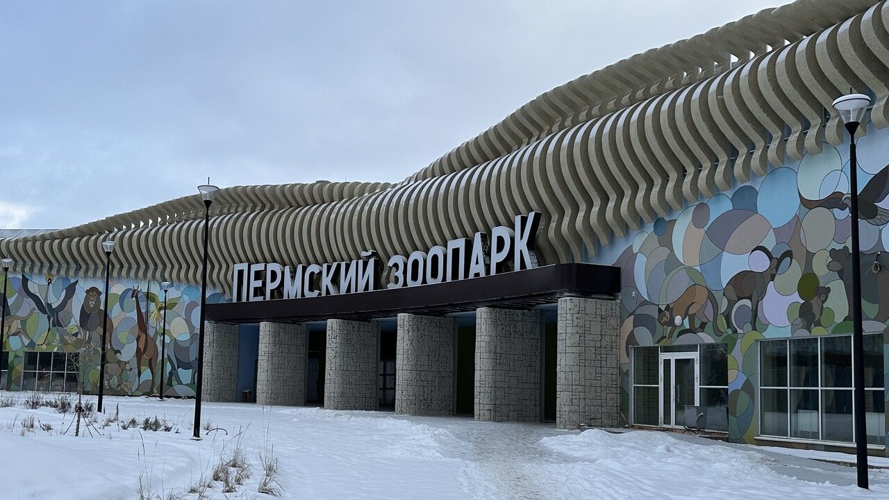 Животные Пермского зоопарка встречают первый снег в новом помещении в зоопарка 
