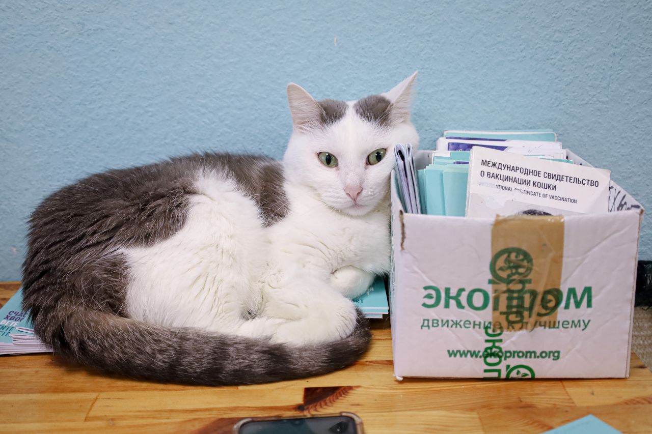 Фото: Елена Майорова