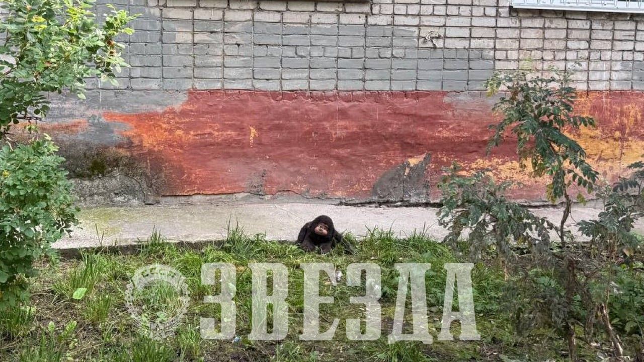 Уголовное дело о причинении смерти новорожденному по неосторожности возбуждено в Березниках