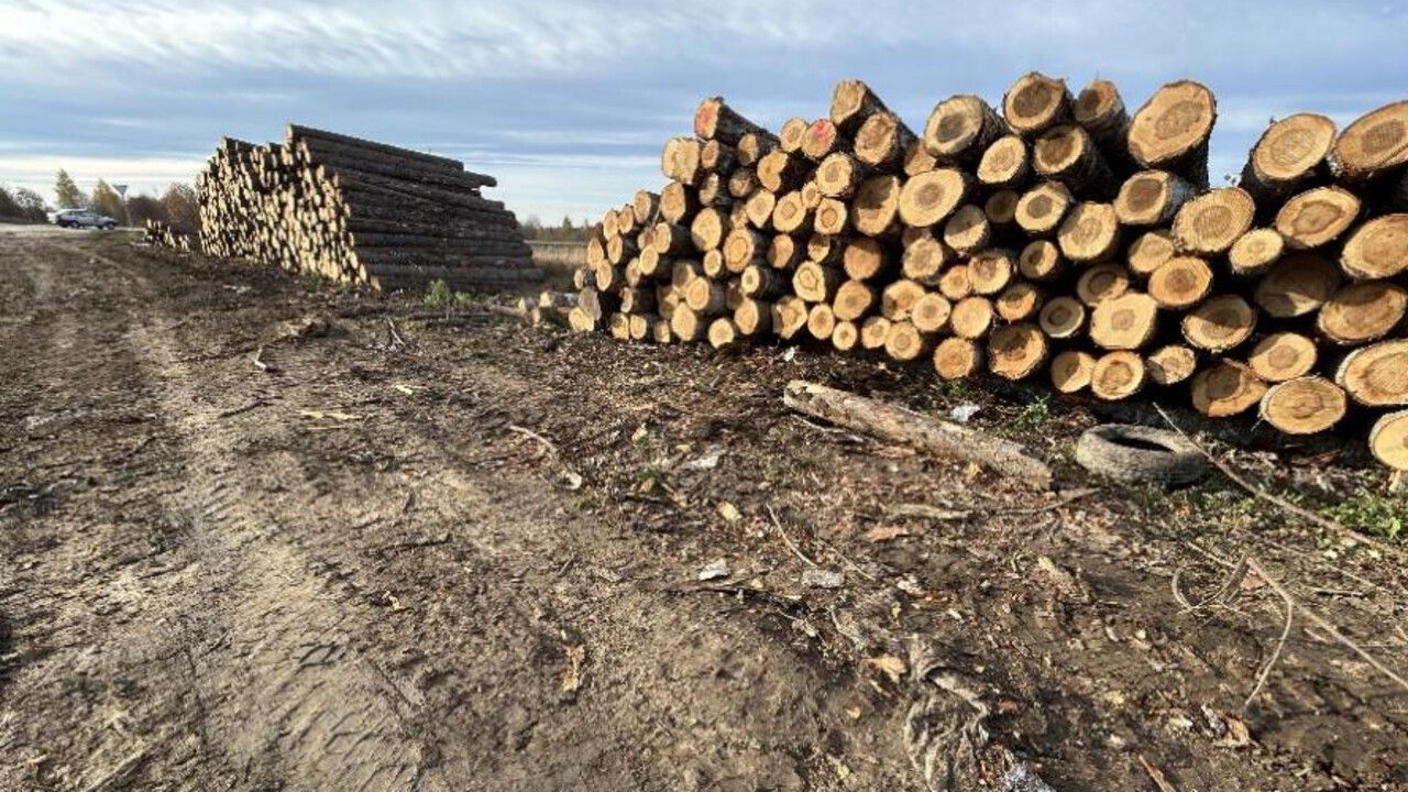 Юридическое лицо оштрафовали за захламление сельхозугодий в Чусовом