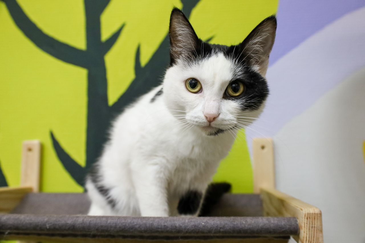 Фото: Елена Майорова