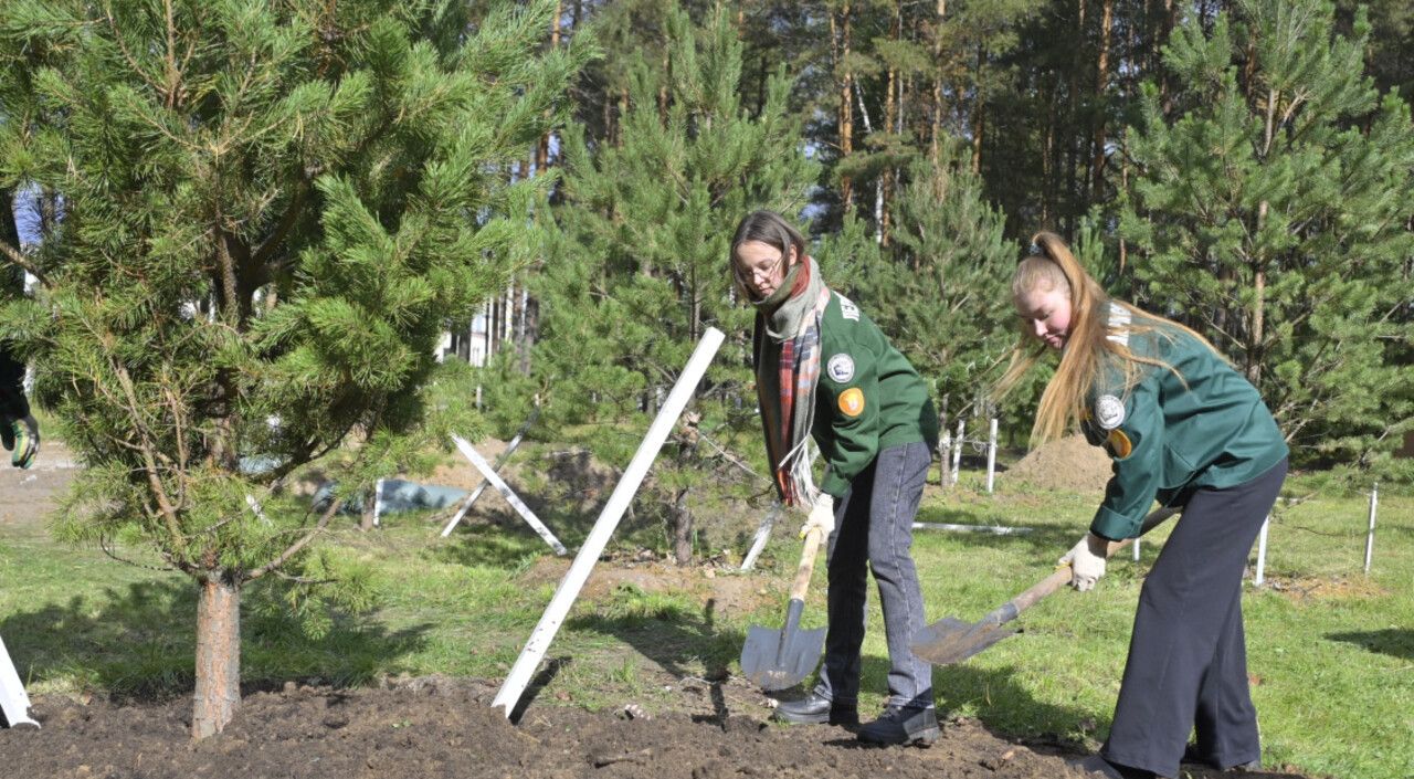 ​В Перми дан старт всероссийской акции «Сохраним лес»