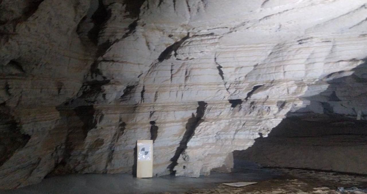 Фото: ООО НИППППД «Недра»