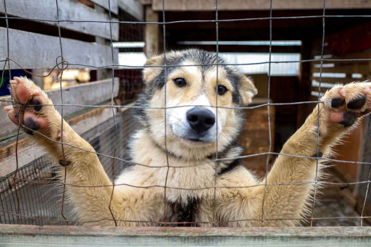 Фото: автор текста