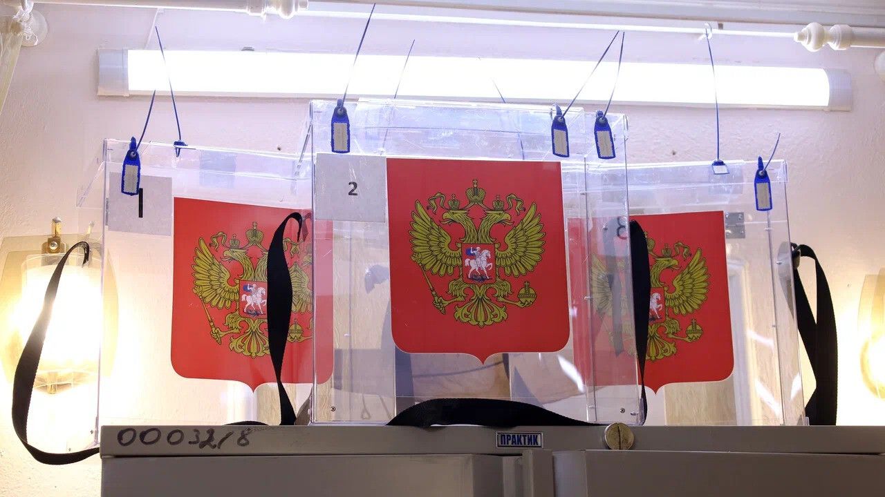 Явка на выборах губернатора Пермского края превысила показатели прошлых лет