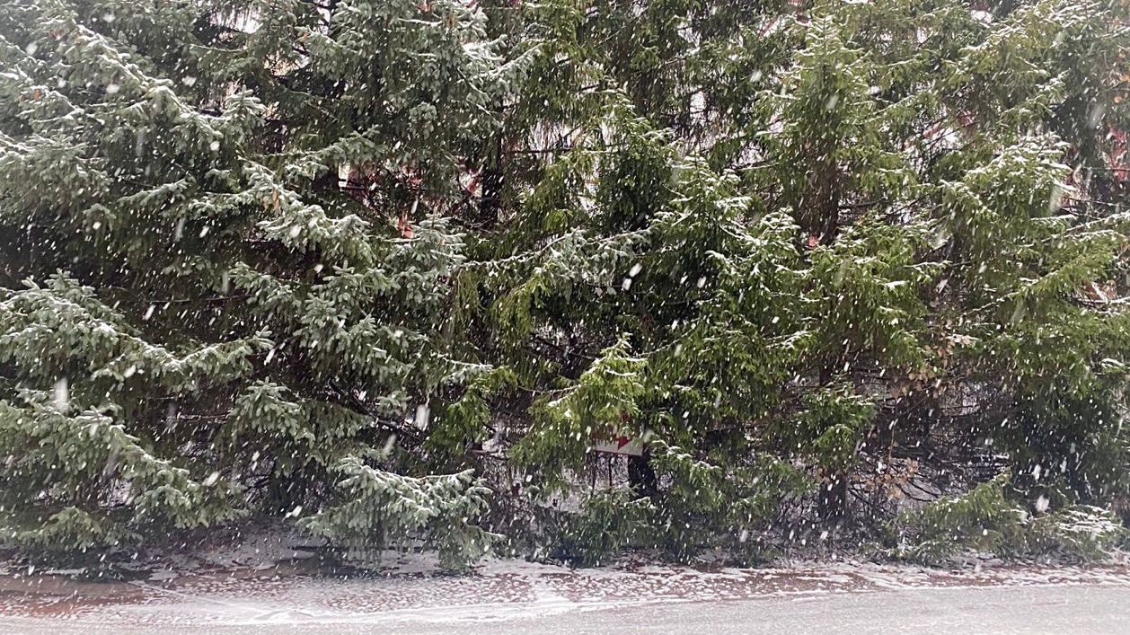 В Пермском крае в начале мая лег снег 