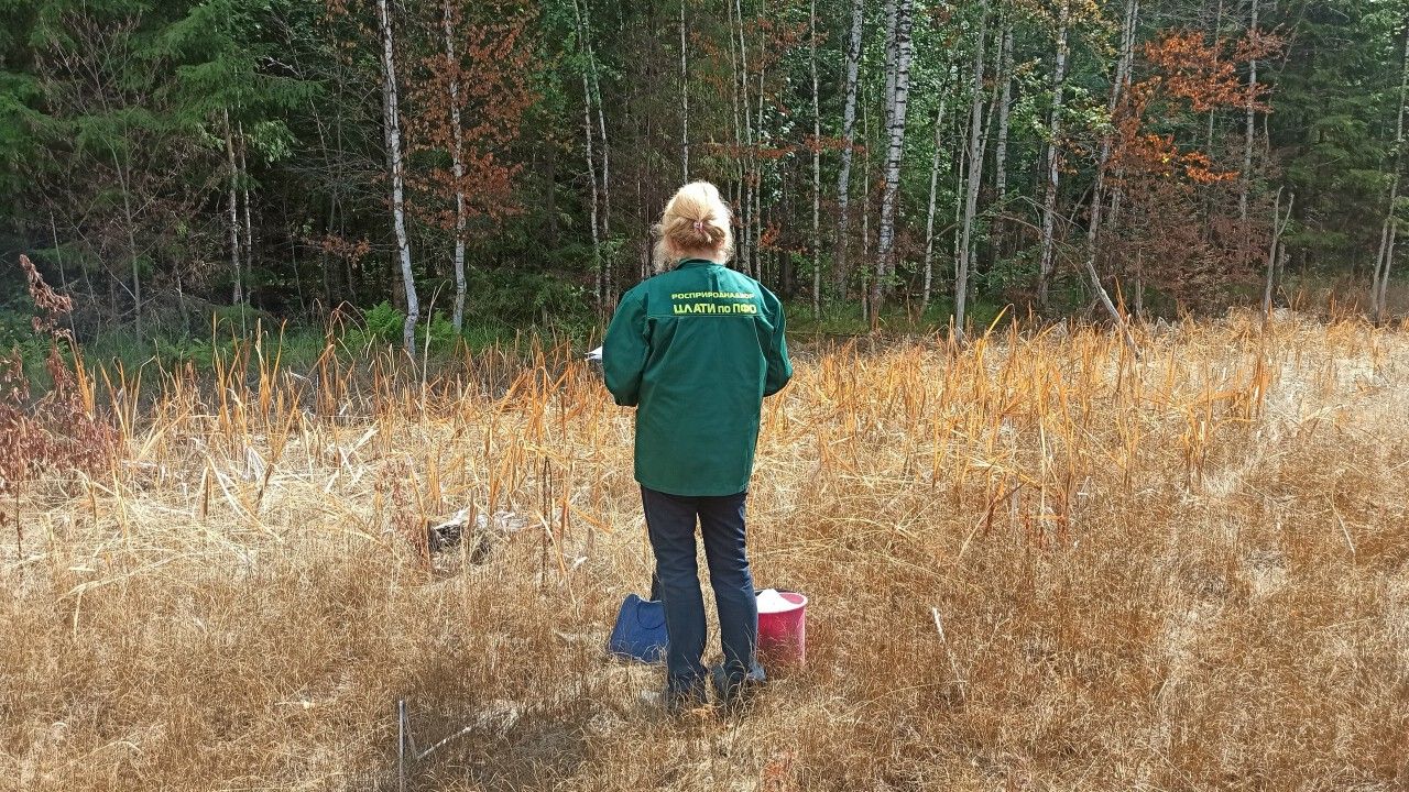 Прикамцу придется выплатить 89 млн рублей за нанесение вреда почве