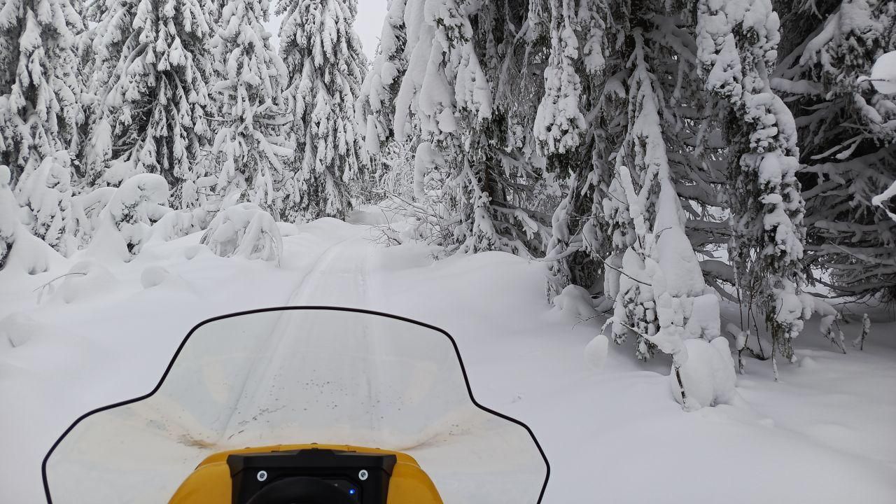 Группа туристов на снегоходах пропала в Красновишерском округе