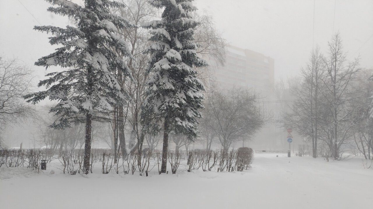 В Перми за ночь высота снежного покрова достигла 78 сантиметров 