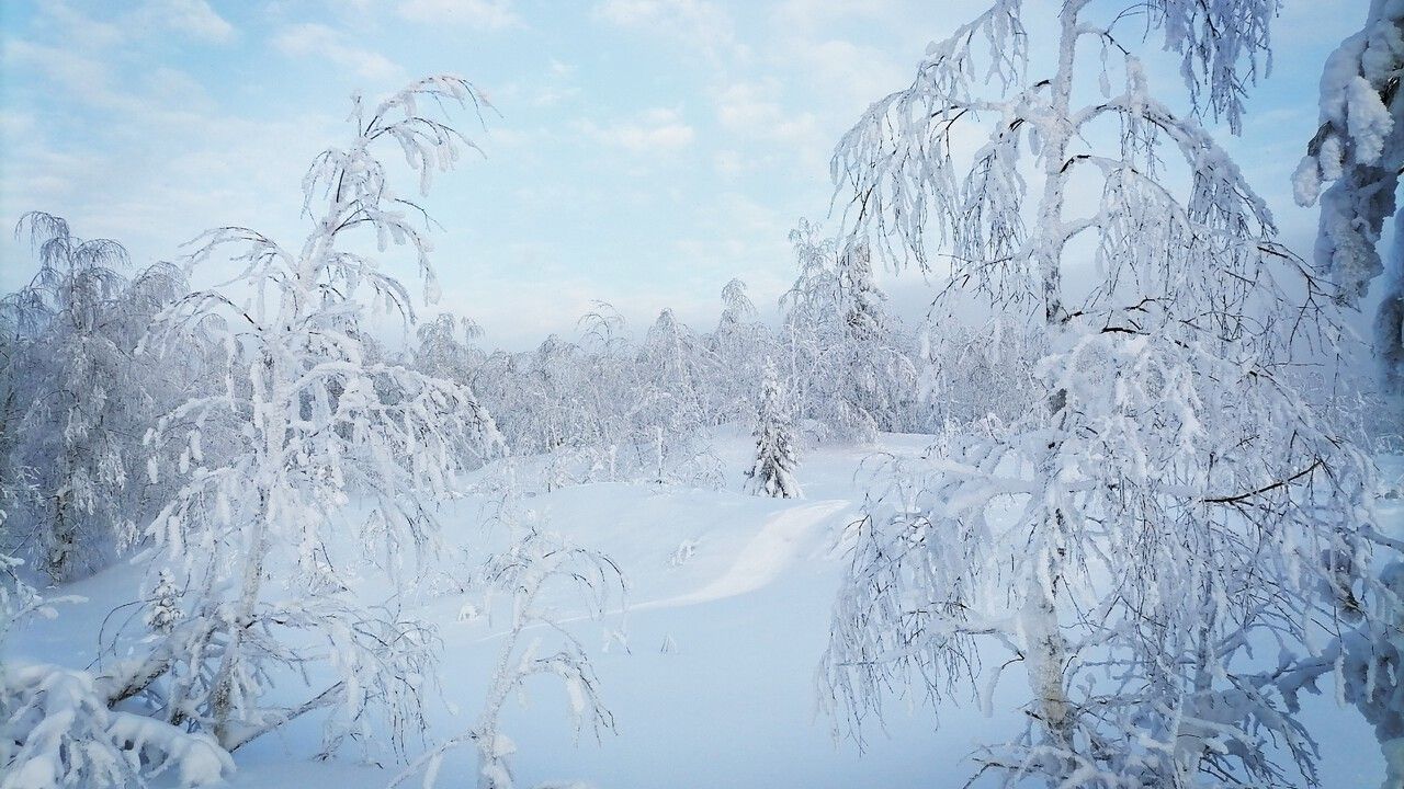 ​В первую неделю марта в Пермском крае зима не сдаст позиций 