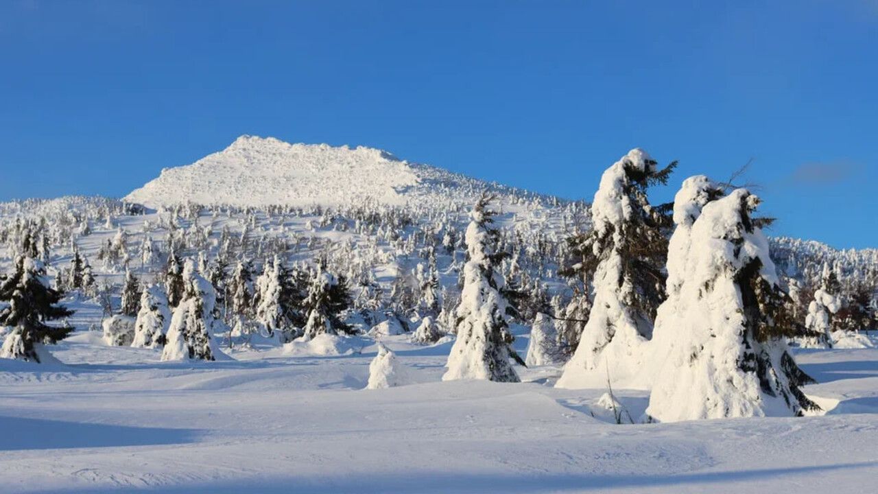 Заповедник «Басеги» приглашает пермяков на фотоэкскурсии